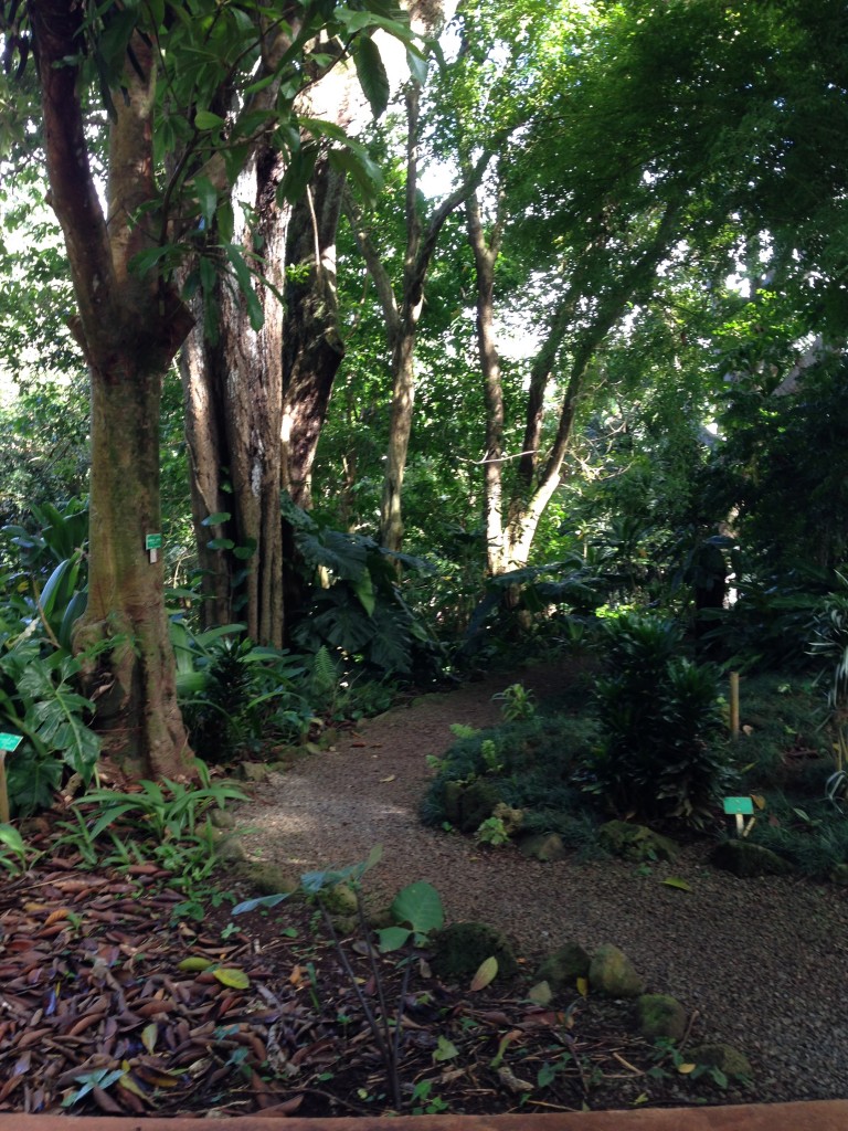 Wahiawa Botanical Garden